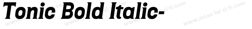 Tonic Bold Italic字体转换